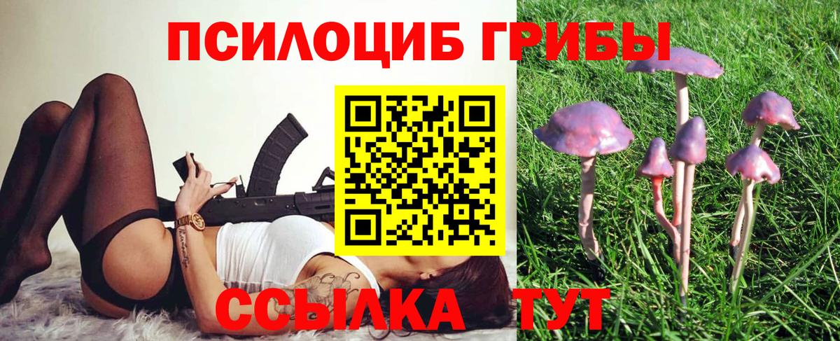 Псилоцибиновые грибы Psilocybine cubensis Самара