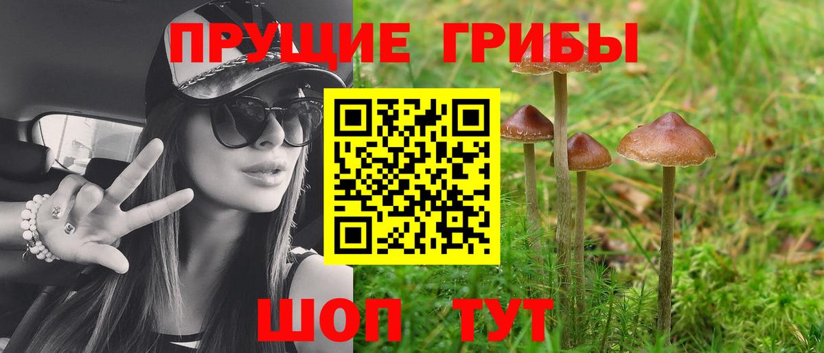 Самара  Псилоцибиновые грибы мухоморы  Псилоцибиновые грибы Psilocybe  Вход с VPN 